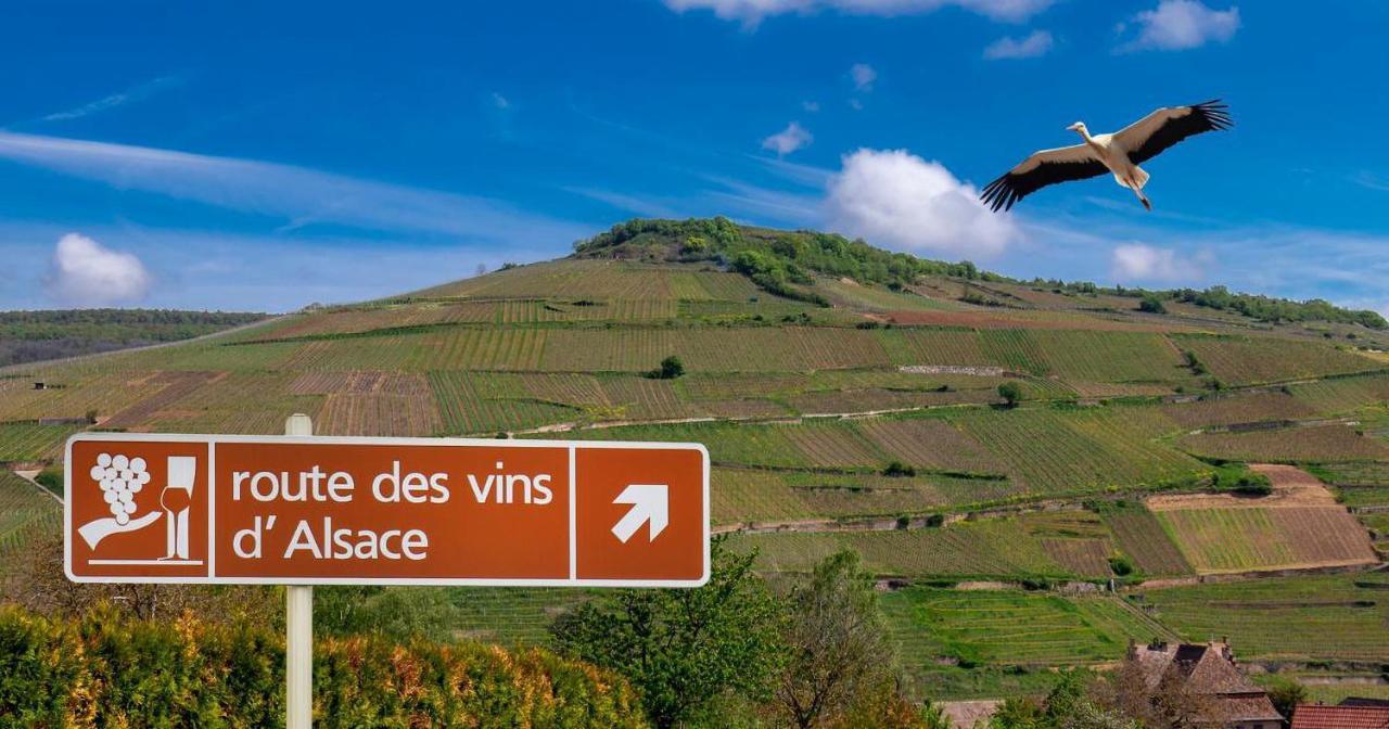 Le Petit Pèlerin